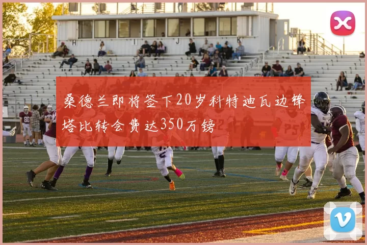 桑德兰即将签下20岁科特迪瓦边锋塔比转会费达350万镑